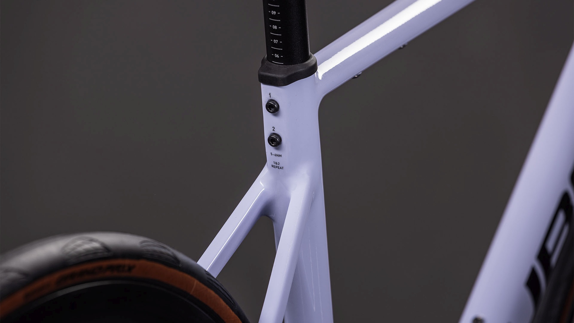 ATTAIN RACE CYCLAMEN/BLACK