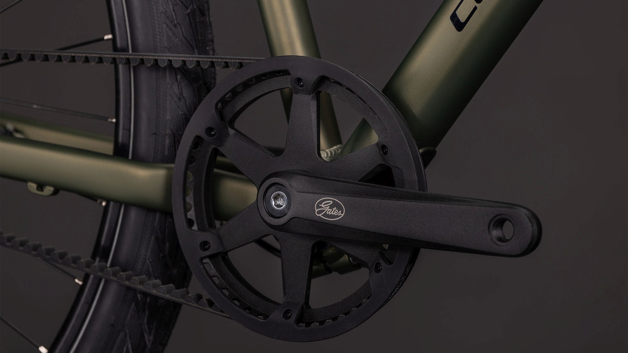 EDITOR ONE REEDGREEN/BLACK