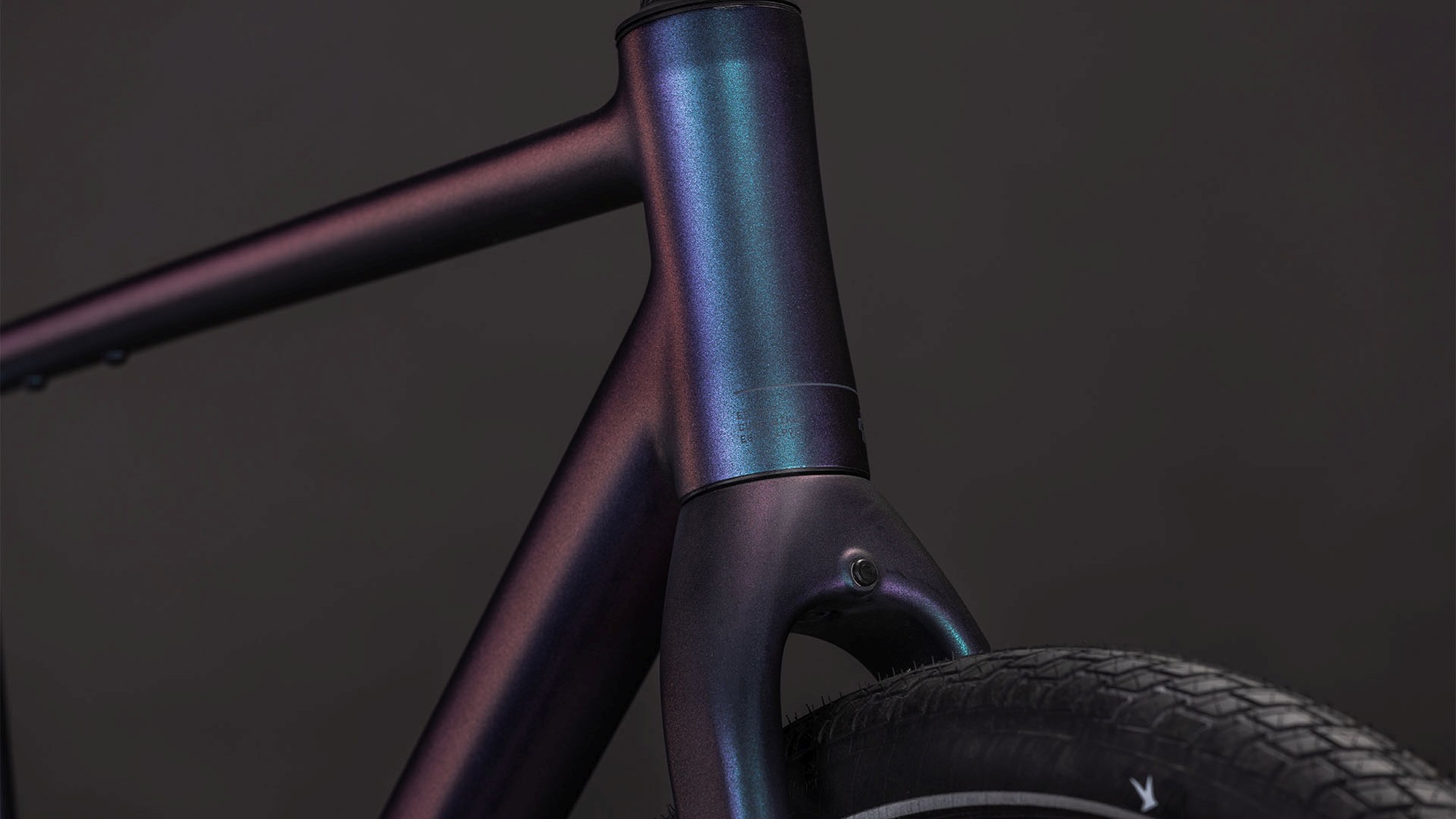 EDITOR SLX AMMOLITE/REFLEX