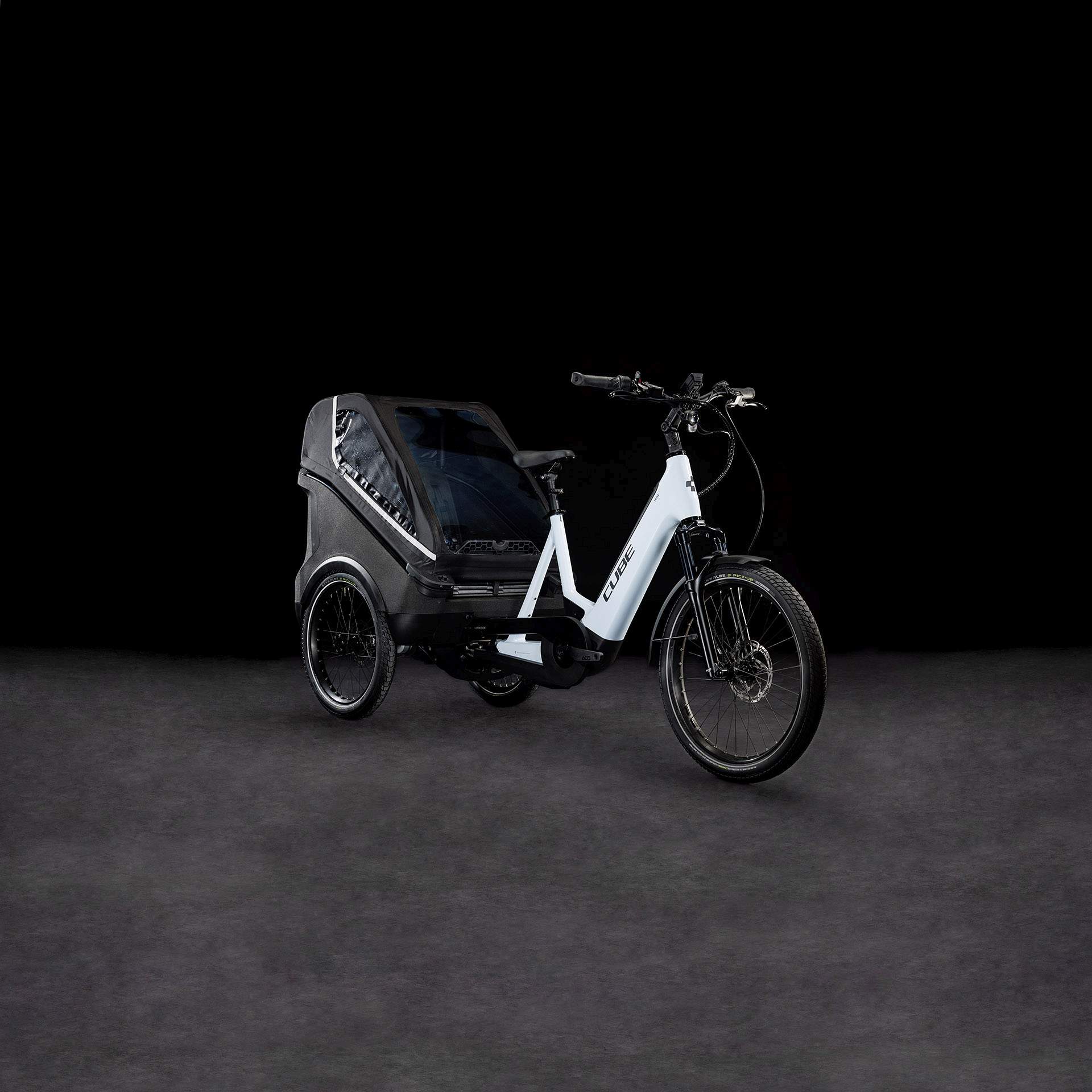 TRIKE FAMILY HYBRID