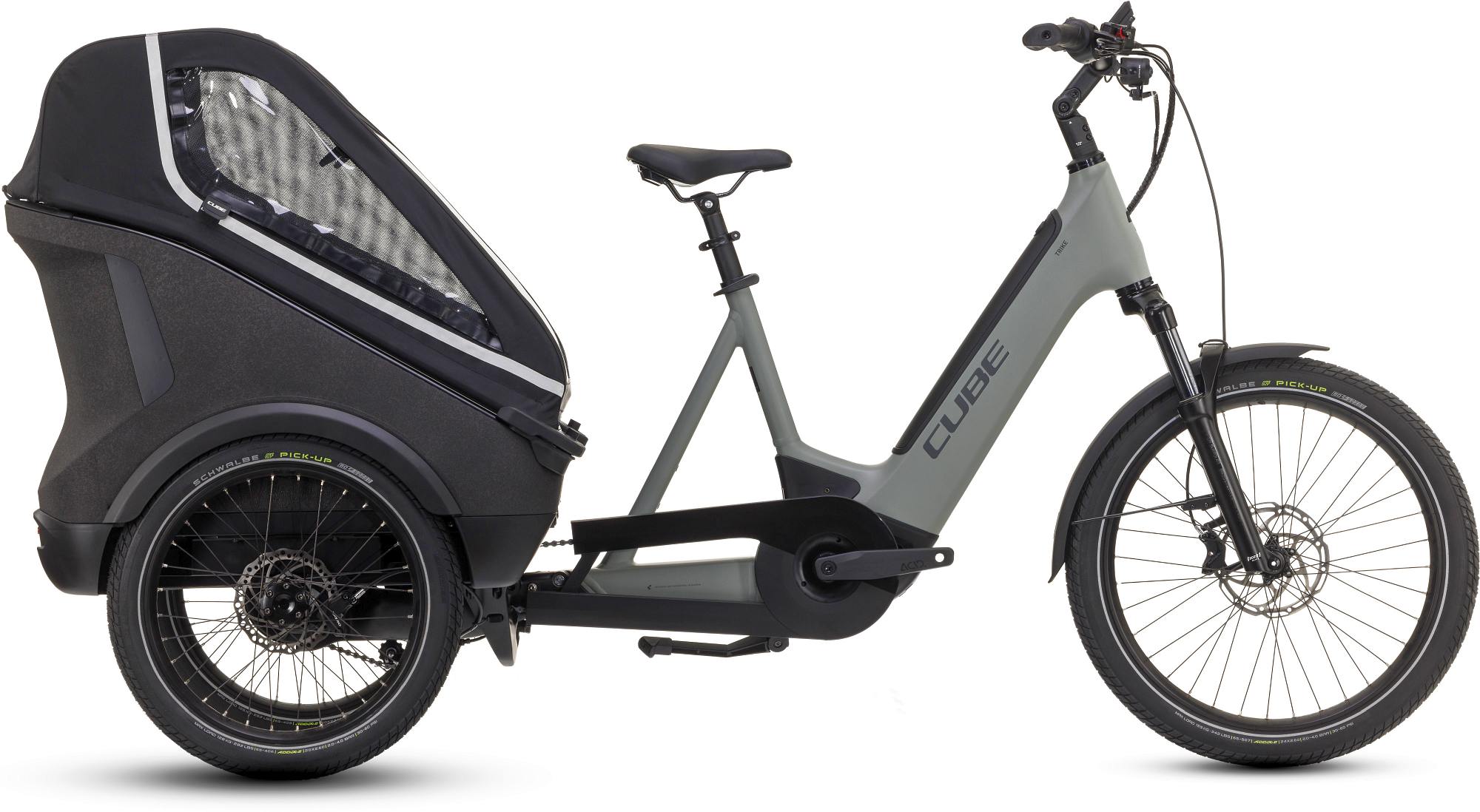 TRIKE FAMILY HYBRID