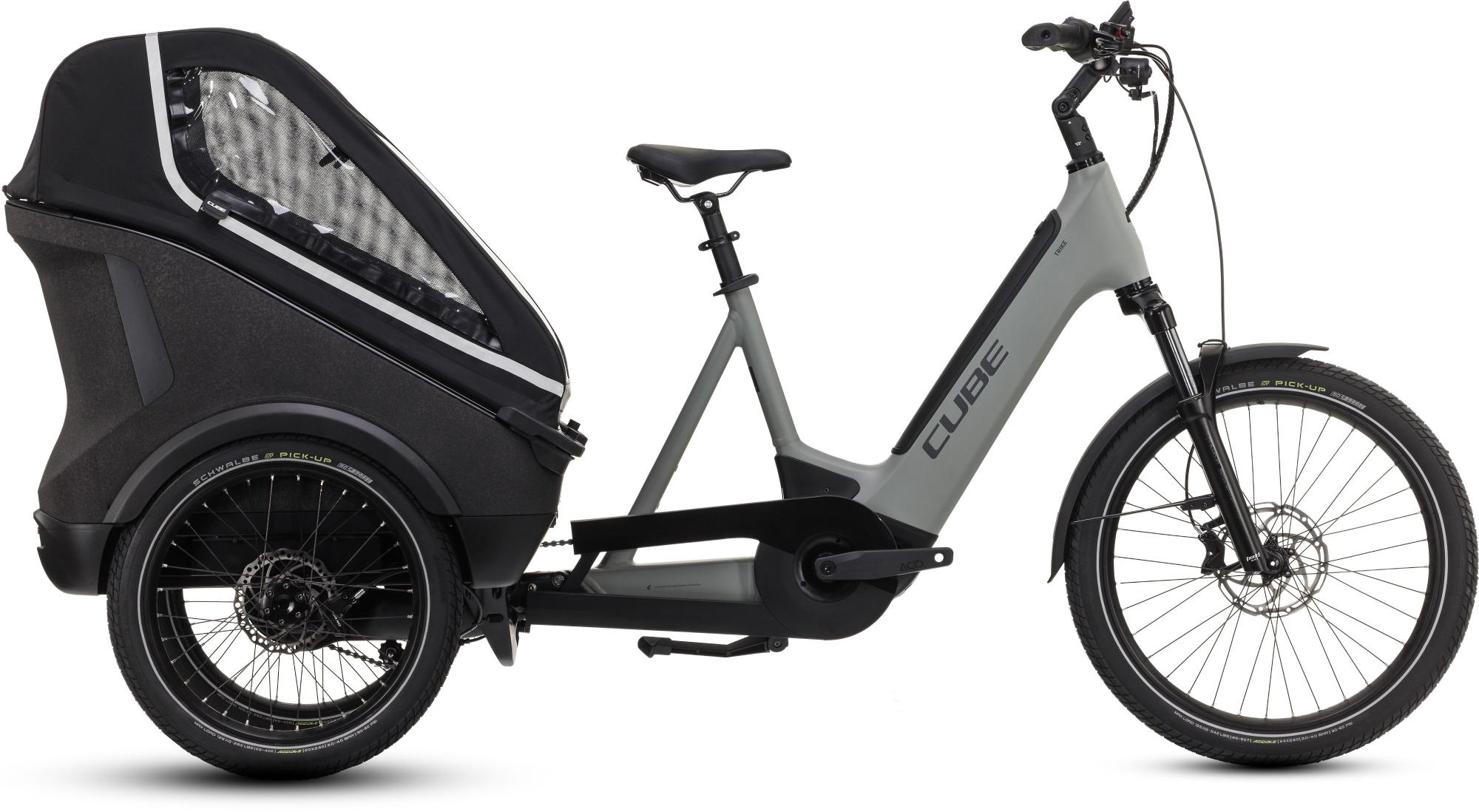 TRIKE FAMILY HYBRID