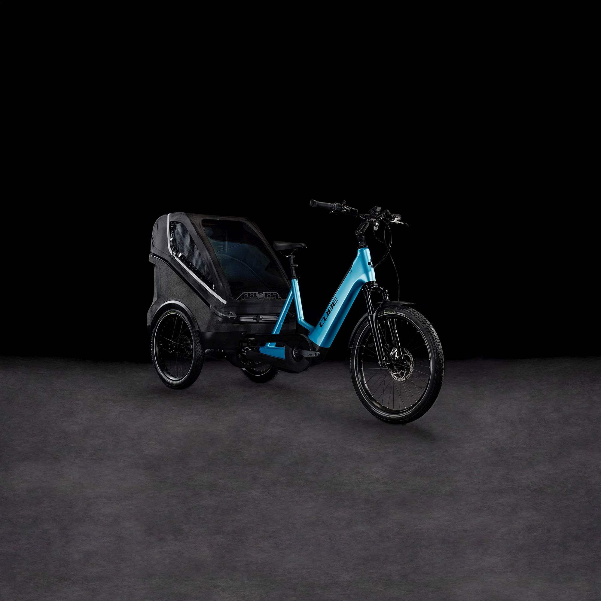 TRIKE FAMILY HYBRID
